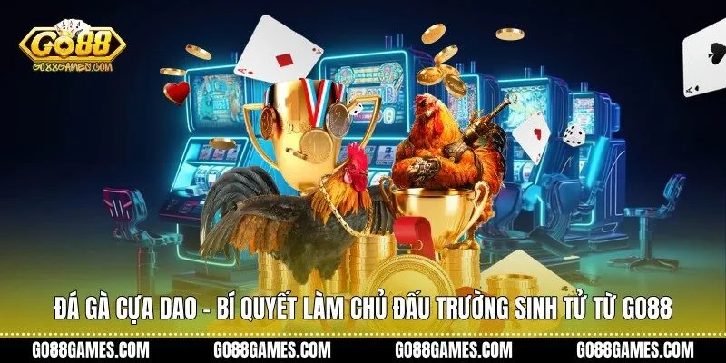 Đá gà cựa dao