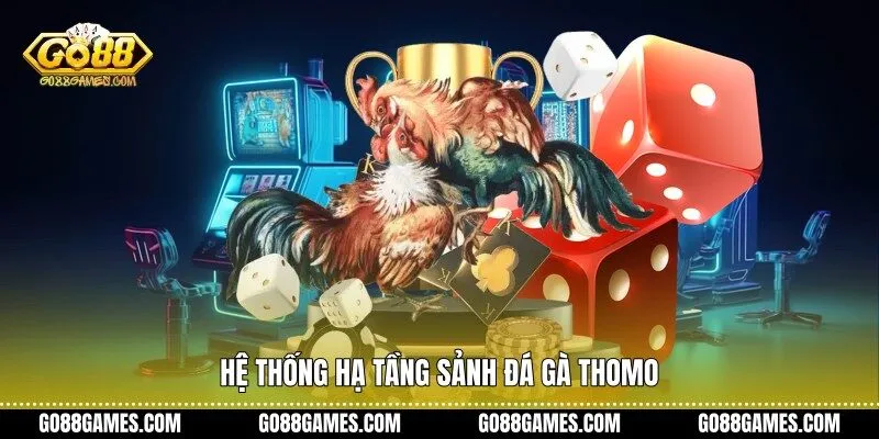 Hệ thống hạ tầng sảnh đá gà Thomo