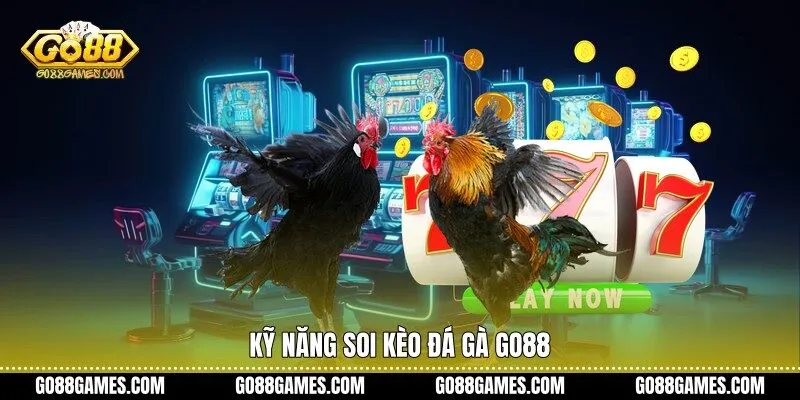 Kỹ năng soi kèo đá gà Go88