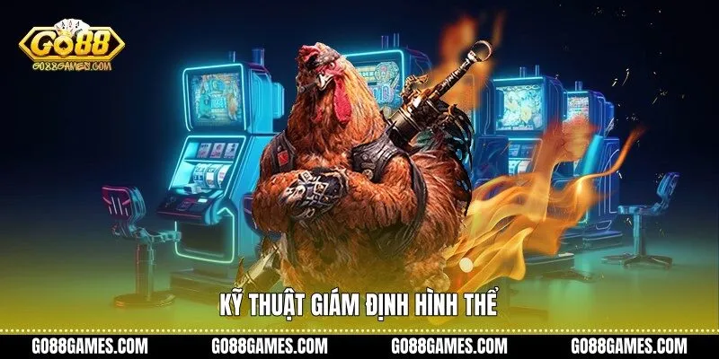 Kỹ thuật giám định hình thể