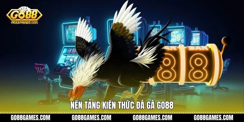 Nền tảng kiến thức đá gà Go88