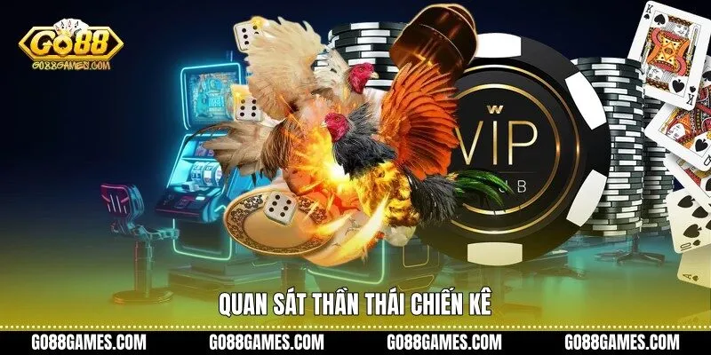 Quan sát thần thái chiến kê